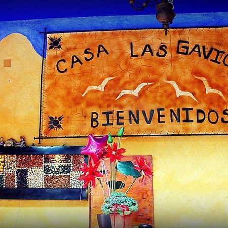 Hotel Posada Casa Las Gaviotas テポストラン エクステリア 写真